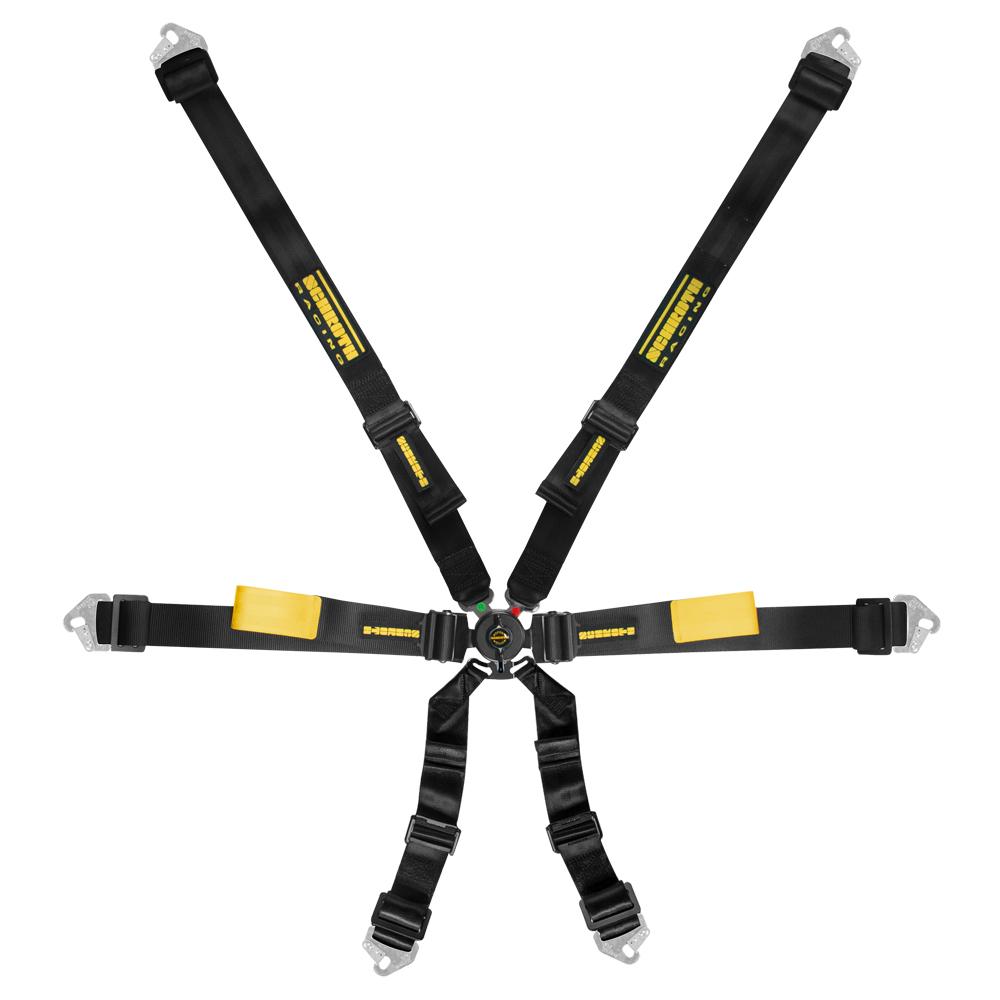 Schroth Enduro Harness 2x2 FHR Use in Black