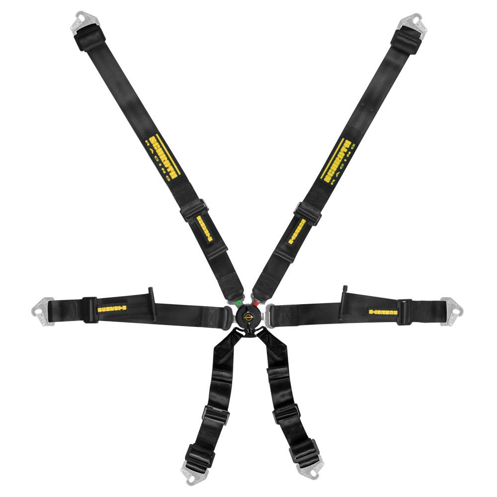 Schroth Profi 2x2 6 Point Saloon Harness