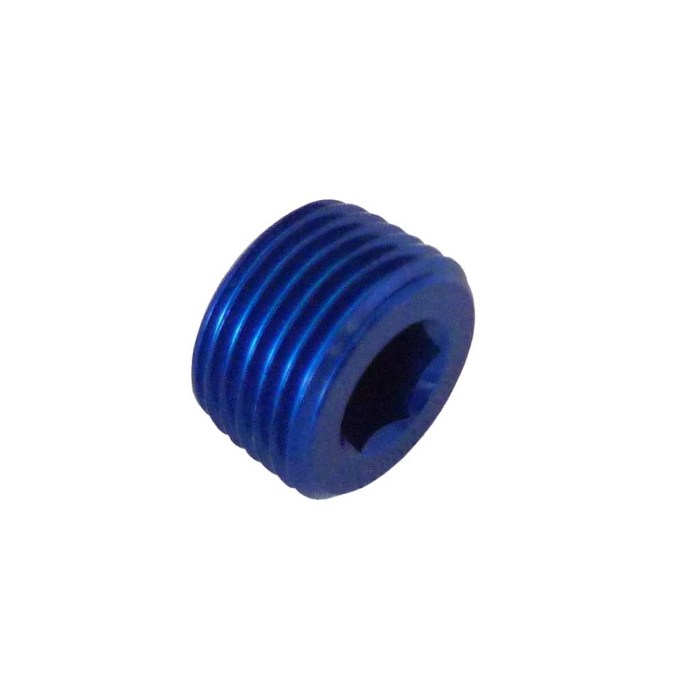 Goodridge 1/8 Inch NPT Blanking Plug