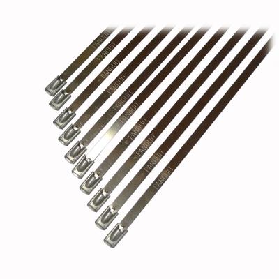 Stainless Steel Locking Ties (Pack Of 10)